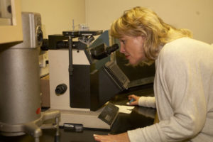 Microstructure Analysis